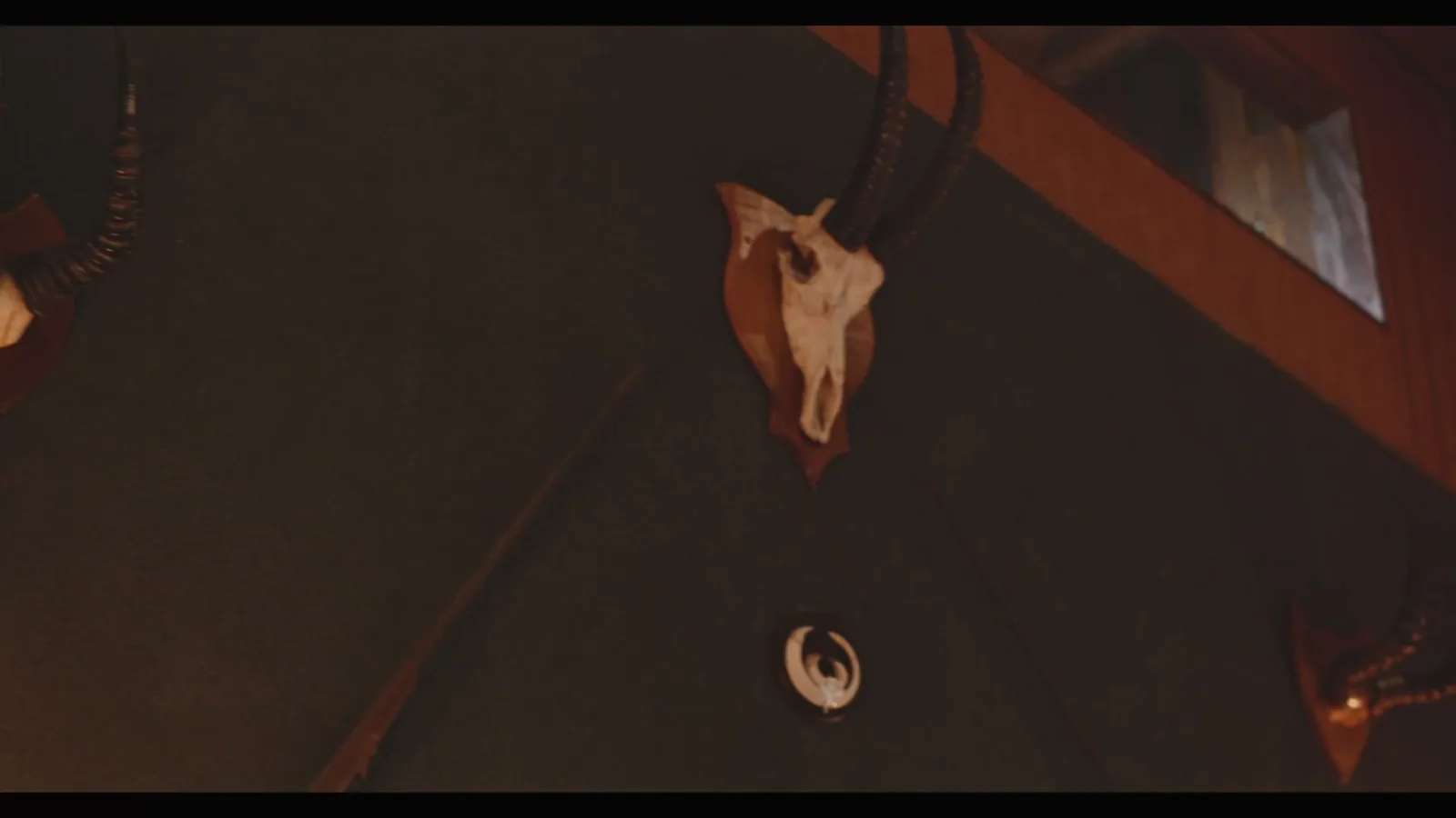 Frame from Safari Valley